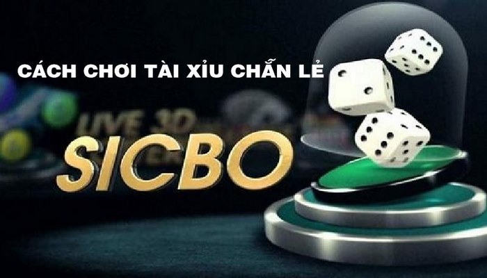 Đôi đều về tài xỉu