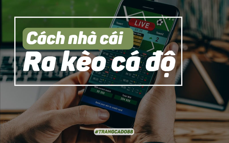 Cách nhà cái ra kèo cá độ bóng đá