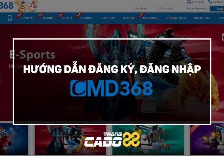 hướng dẫn đăng ký đăng nhập tài khoản cmd368