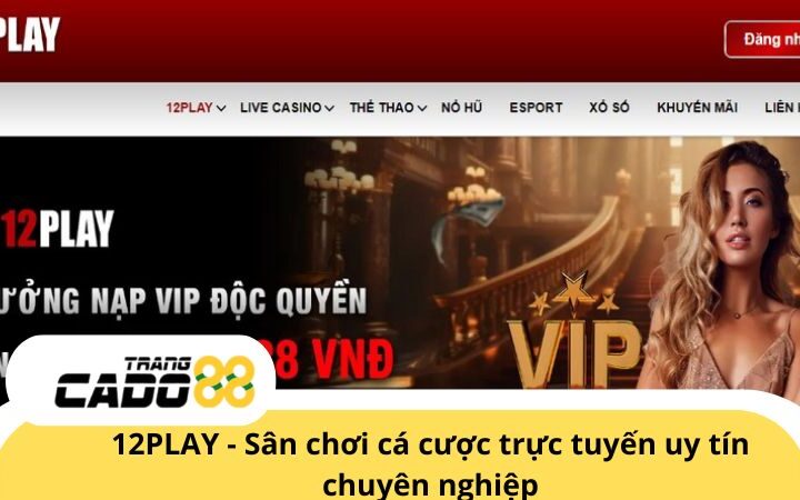 12PLAY - Nhà cái cá cược trực tuyến uy tín chuyên nghiệp